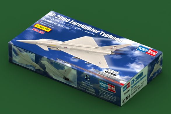 Винищувач EF-2000 Eurofighter Typhoon, складання без клею як LEGO (Hobbyboss 81901), збірна модель для дітей
