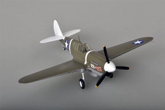 1/48 Curtiss P-40M 44FS, 18FG, готовая модель (EasyModel 39311)