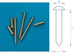 Гвозди латунные L=10mm r=0.8mm R=1.3mm, 50 штук (RB Model 097 1008)