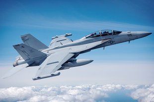 1/48 EA-18G Growler американский самолет радиоэлектронной борьбы РЭБ (Hobbyboss 85814), сборная модель