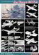 De Havilland Sea Venom FAW.21 1:72
