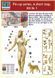 1/24 Короткая остановка. Набор №1. Серия PIN-UP (Master Box 24015) 75 мм