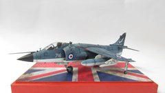 1/48 Sea Harrier FRS.1 Королевского флота, готовая модель, авторская сборка