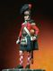 54 мм 42nd Royal Highlander Regiment "The Black Watch", 1815 рік (Pegaso 54214) збірна олов'яна фігура