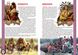 Книга "Індіанці. Велика книжка для допитливих дорослих і дітей" Олег Зав'язкін 