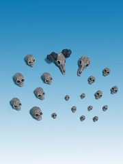 FreeBooTer Miniatures - Skulls - FRBT-ZUB 001