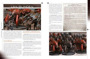 AT-43 Army Book Therian, Rackham THAT43