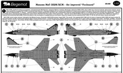 1/48 Декаль для самолетов МиГ-31БМ/БСМ (Begemot Decals 48-040) 15 вариантов