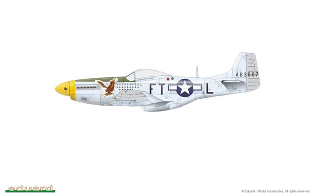 1/48 Винищувач P-51D Mustang, серія ProfiPACK із афтермаркетом (Eduard 82102), збірна модель