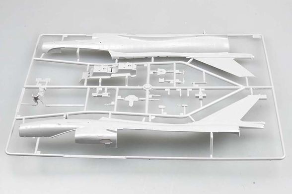 1/48 PLAAF J-10S Vigorous Dragon китайский истребитель (Trumpeter 02842), сборная модель