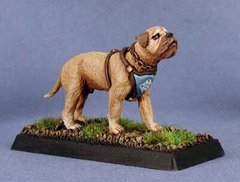 Reaper Miniatures Warlord - Garr, War Dog - RPR-14208