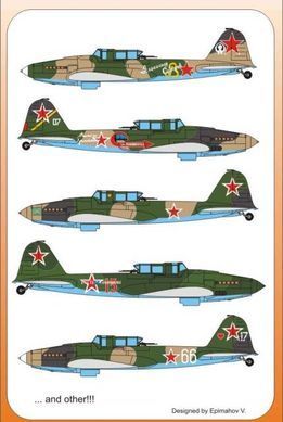 1/48 Декаль для самолета Ильюшин Ил-2 Штурмовик двухместный (Authentic Decals 4814)