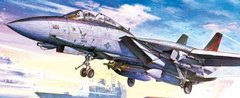 F-14 "Bombcat" 1:48