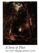 Книга "A Sense of Place: The Artist And The American Land" by&nbsp;Alan Gussow with an introduction&nbsp;Richard Wilbur (англійською мовою)