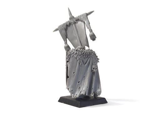Warrior of Chaos with Banner, мініатюра Warhammer Fantasy Battles, зібрана пластикова (Games Workshop)