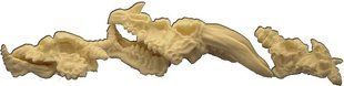 Fenryll Miniatures - Dragon Skulls - FNRL-TC07