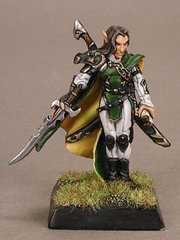 Reaper Miniatures Warlord - Ardynn, Elf Ftr Mage - RPR-14046