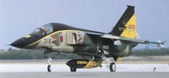 Mitsubishi F-1 "8th Sq Special Painting" 1:48