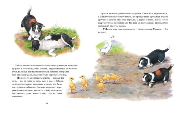 Книга "Детям: рассказы о животных" Джеймс Хэрриот