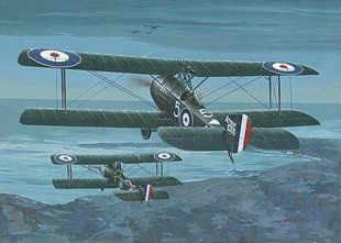 1/48 Sopwith 1 Strutter літак Першої світової (Roden 407) збірна модель