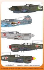 1/48 Декаль для самолета Curtiss P-40 ВВС СССР (Authentic Decals 4860)