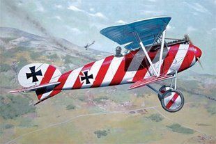 1/32 Albatros D.III (OAW) літак Першої світової (Roden 608) збірна модель