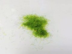 Трава штучна середньо-зелена (флок) для макетів/підставок/діорам 3 мм (Flock Grass), об'єм 10 гр